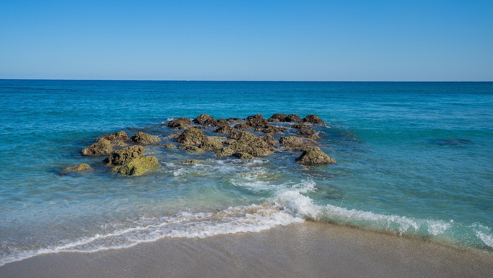 Holiday Inn & Suites Boca Raton North by IHG - photo 52
