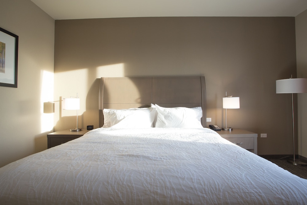Hilton Garden Inn Bolingbrook I 55 - photo 12