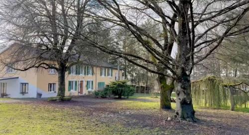 La clé de la forêt - last minute hotel in Unknown City