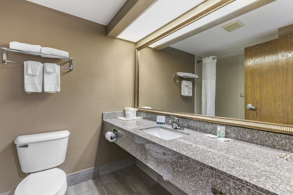 Quality Inn Rogersville - photo 11