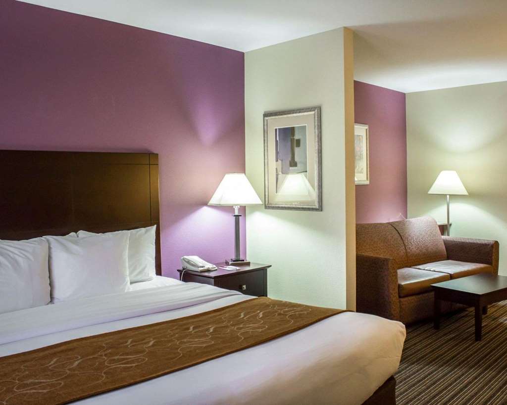 Comfort Suites Sanford - photo 12