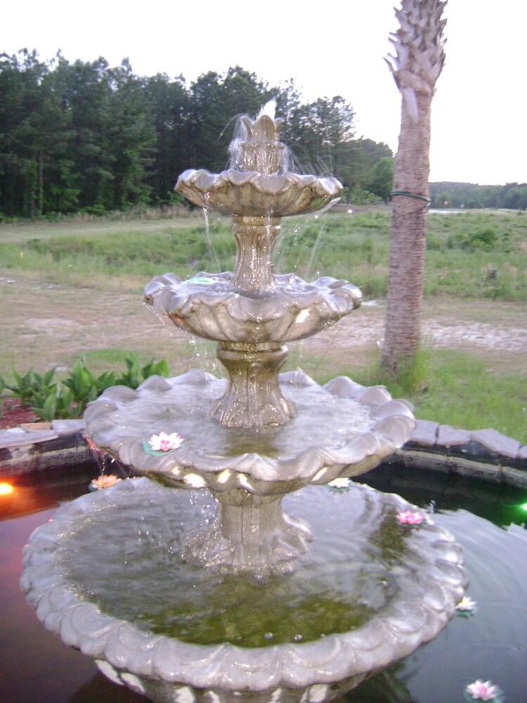 Rodeway Inn & Suites Hephzibah Augusta - photo 32