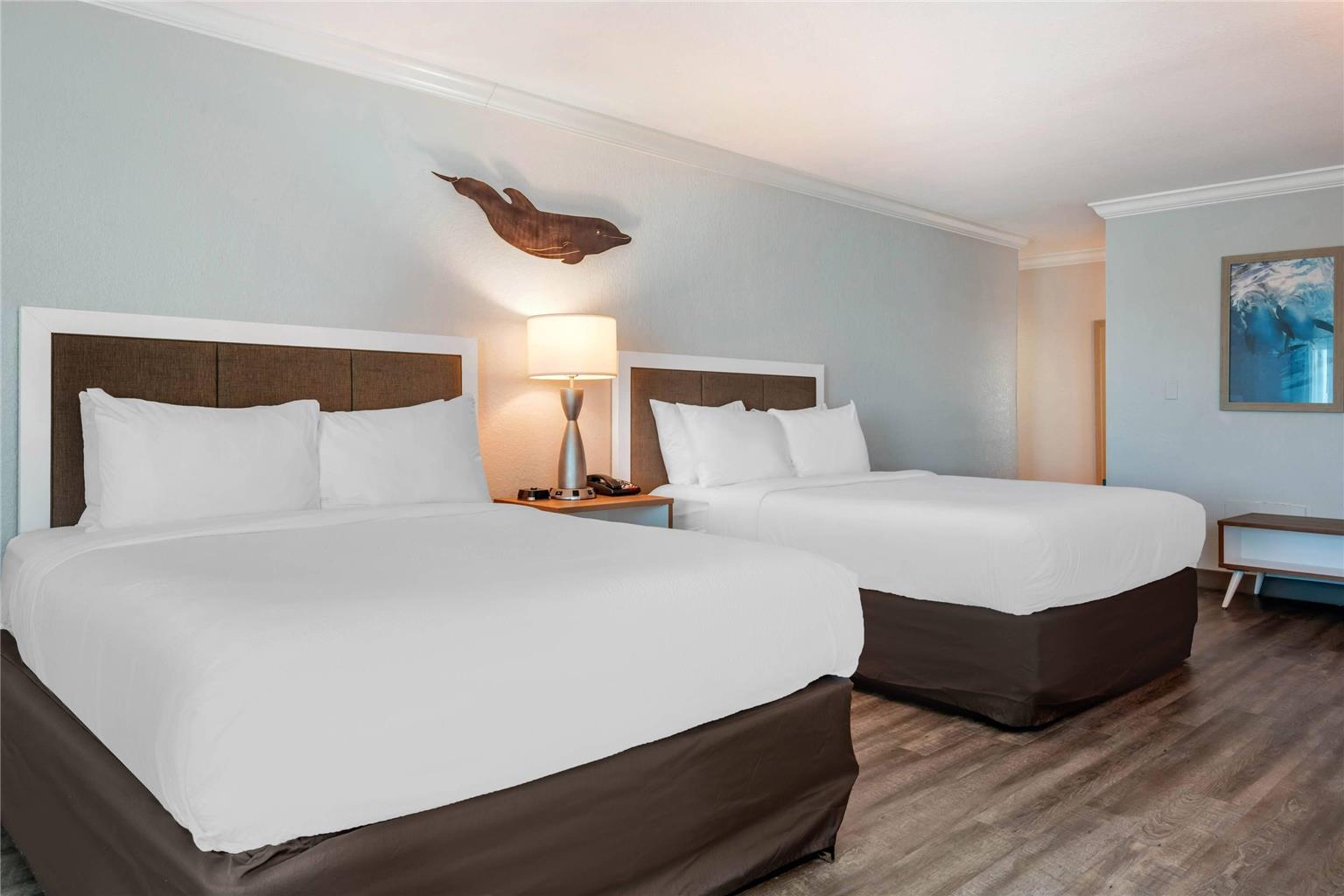 Dolphin Sands Clearwater Beach an Ascend Collection Hotel - photo 11