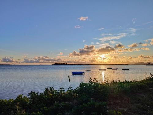 Mare DiVino in Marsala, Italy