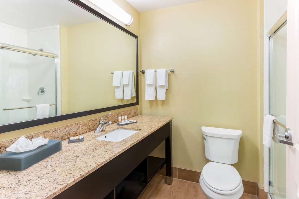 La Quinta Inn & Suites by Wyndham Carlsbad - photo 33