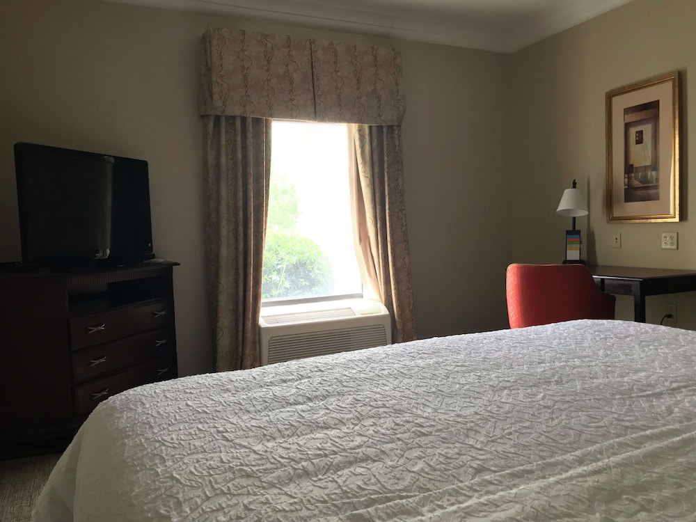 Hampton Inn Vidalia - photo 10