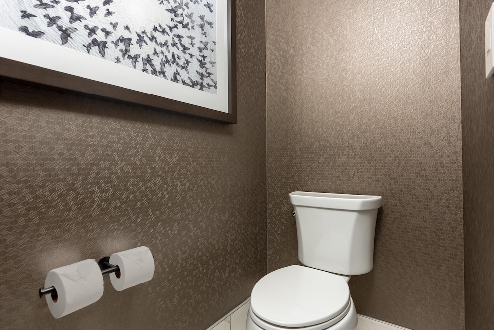 Embassy Suites by Hilton Pigeon Forge Resort - photo 23