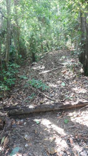 Tampat do Aman — Kudat — photo 3