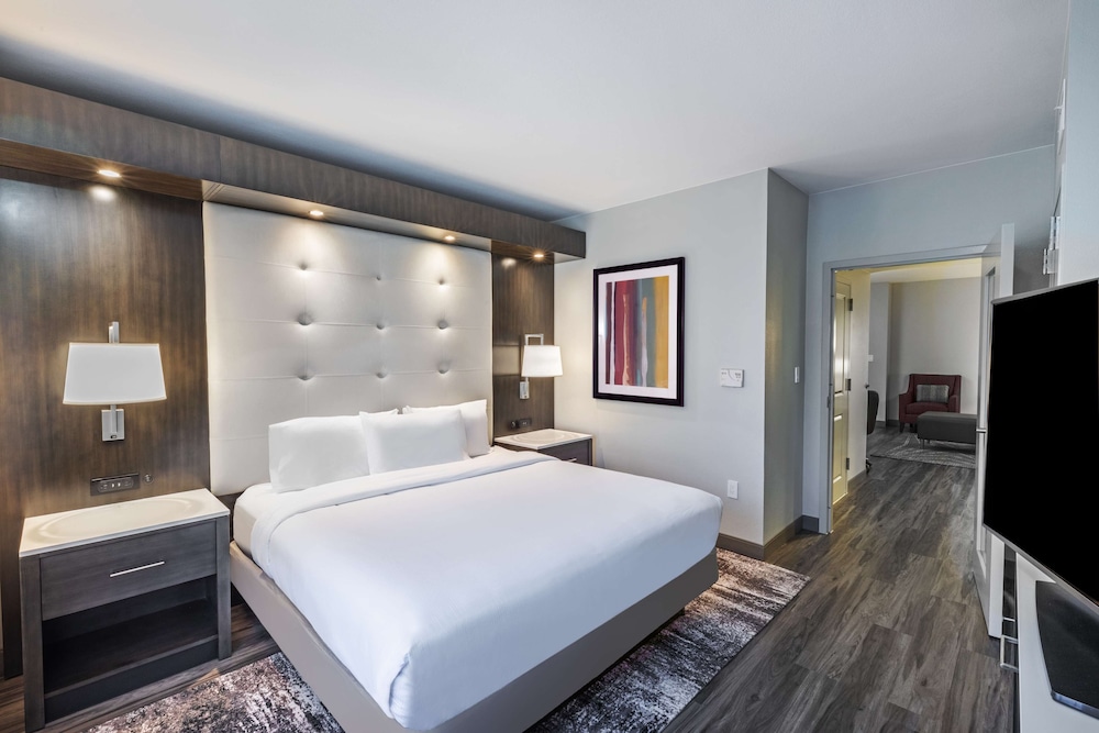 Embassy Suites by Hilton Houston Energy Corridor - photo 9