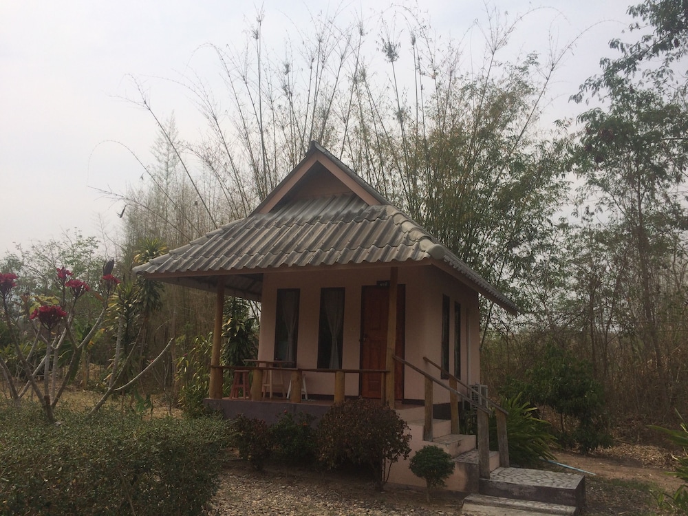 Baan Suan Violin in Pai, Thailand