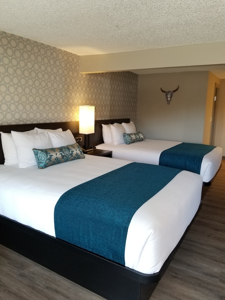 The Hotel Y - photo 3