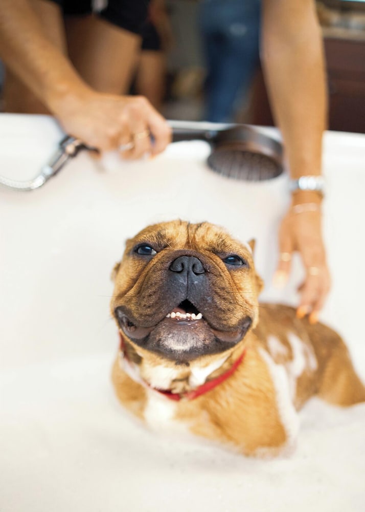 Naturally Pacific Resort in Campbell River, Canada