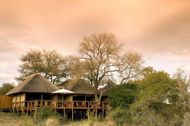 Camp Shonga — 4-Star Luxury Hotel in Komatipoort, South Africa