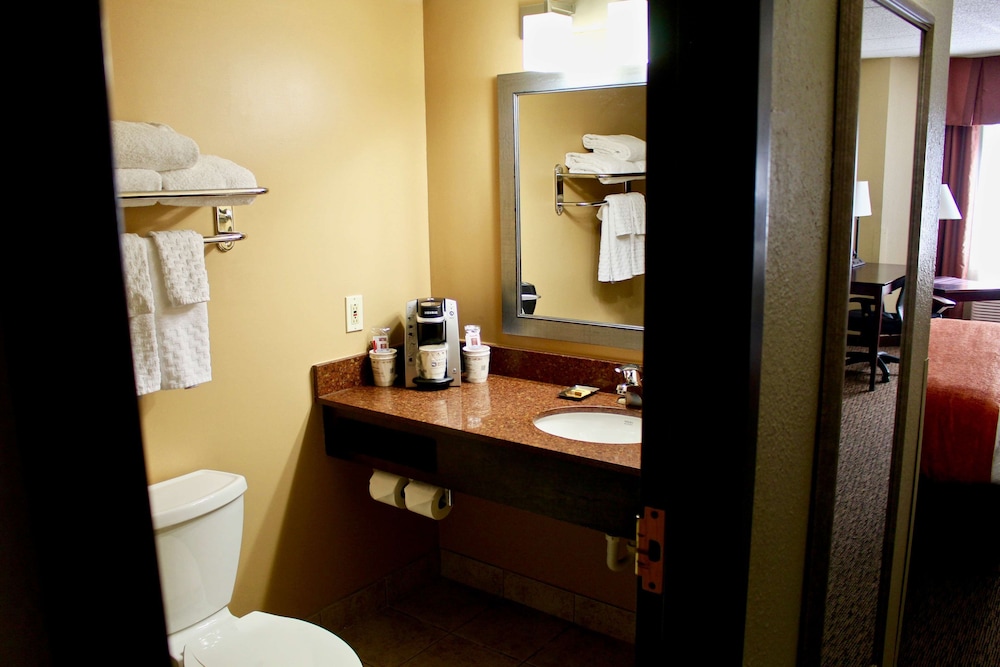 Comfort Inn Eagan Minneapolis St. Paul South - photo 30