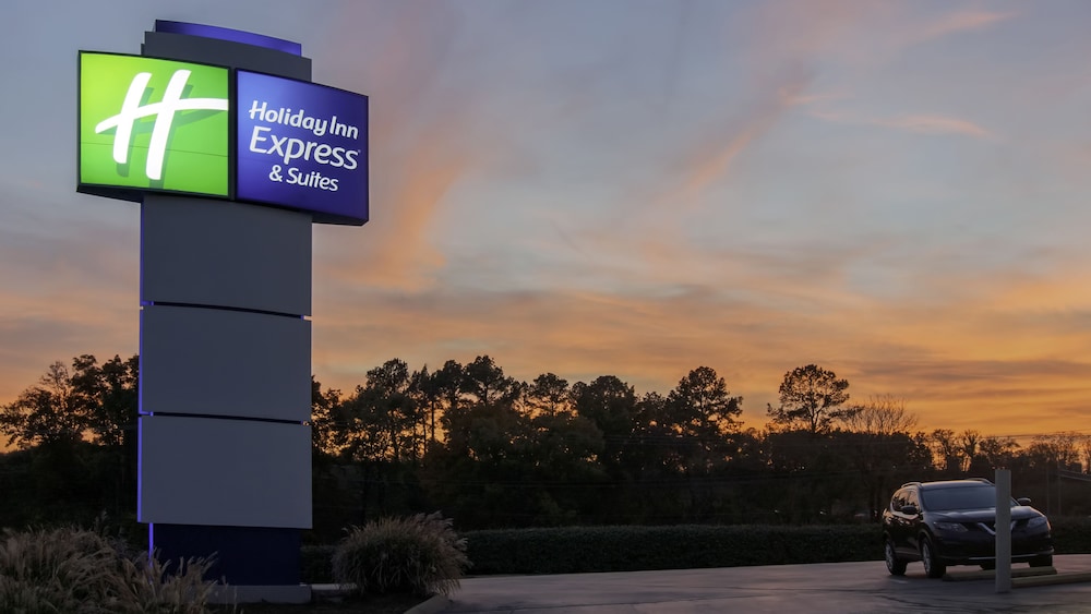 Holiday Inn Express Hotel & Suites Spence Lane by IHG - photo 31