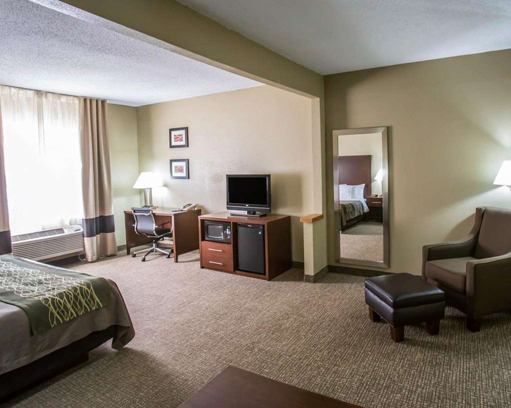 Comfort Inn Morris I 80 - photo 20