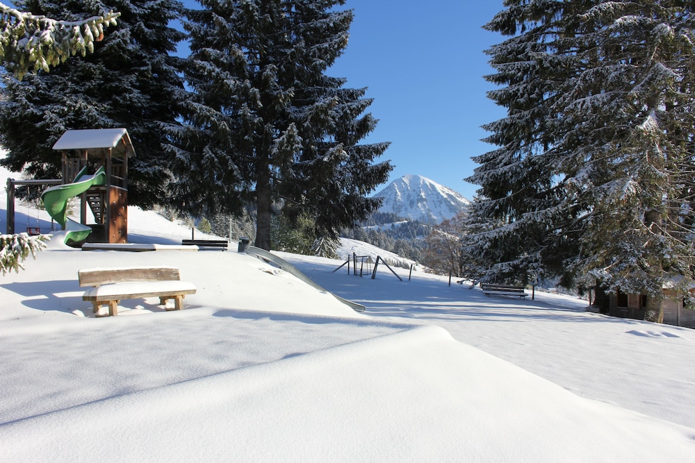 Leysin Lodge — Leysin — photo 2