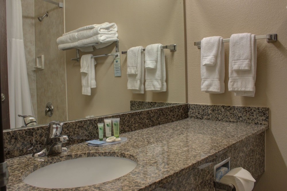Allington Inn & Suites - photo 16