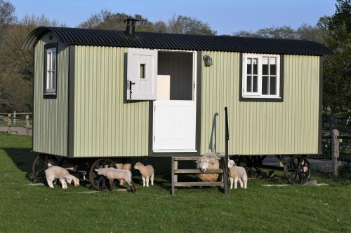 Shepherds Hut - carbon neutral hotel in Unknown City