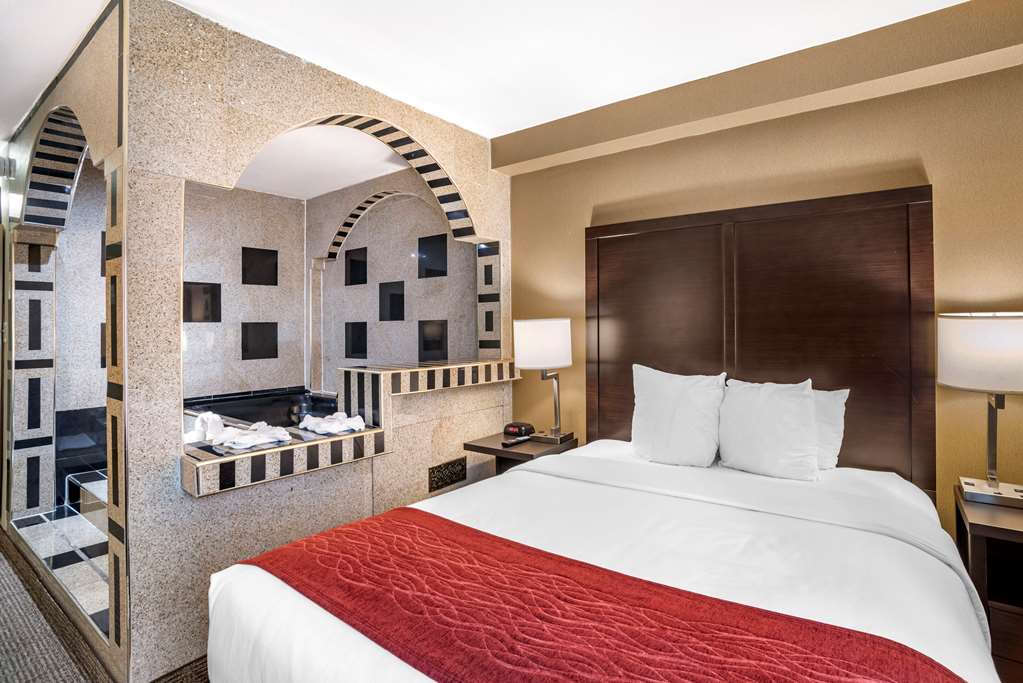 Comfort Inn Towson Baltimore North - photo 15