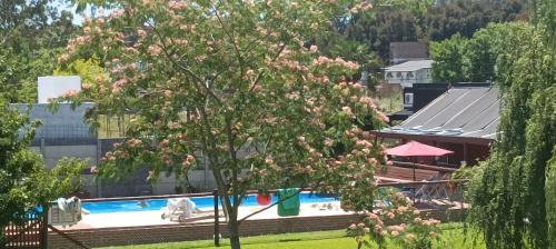 Cabañas Tranquera 8 — Chascomus — photo 5