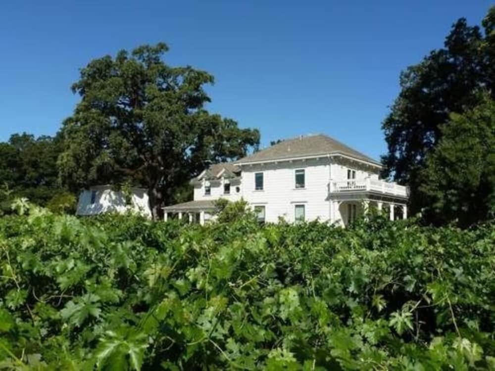 Inn at Salvestrin — hotel in Saint Helena