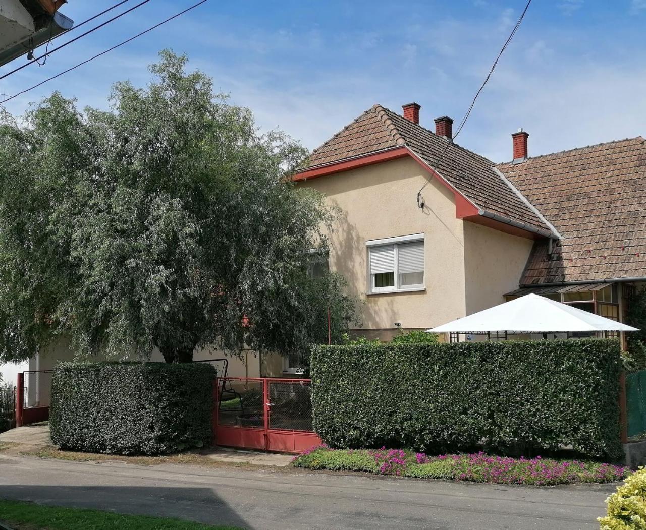 Gabriella Ház in Unknown City, Hungary