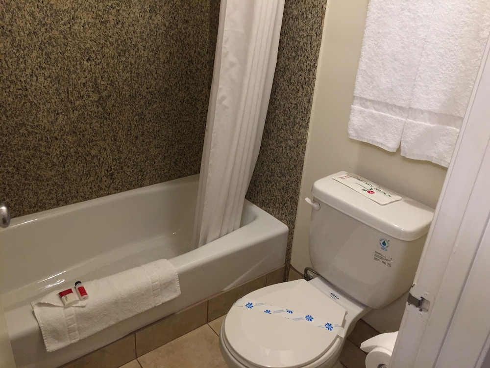 Triplodge Hotel Santa Clarita Valencia - photo 18