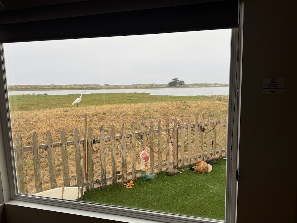 Captain's Inn at Moss Landing - photo 92