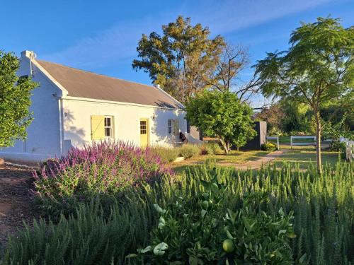 Moira's Cottage — 4-Star Luxury Hotel in Calitzdorp, South Africa