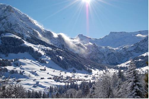 Hotel Crystal — hotel in Adelboden