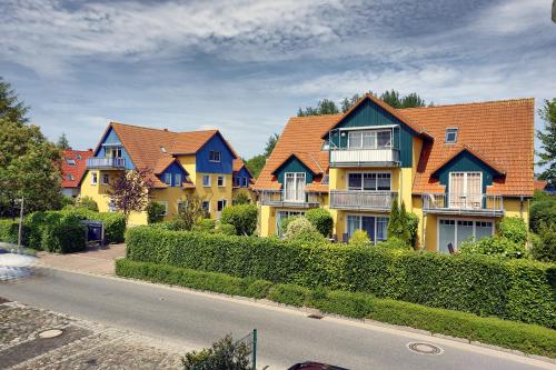 Meer Whg 16 — 4-Star Luxury Hotel in Zingst, Germany