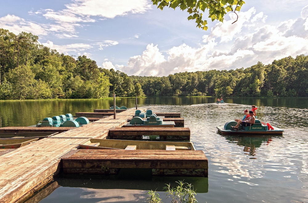 Pennyrile Forest State Resort Park - photo 17