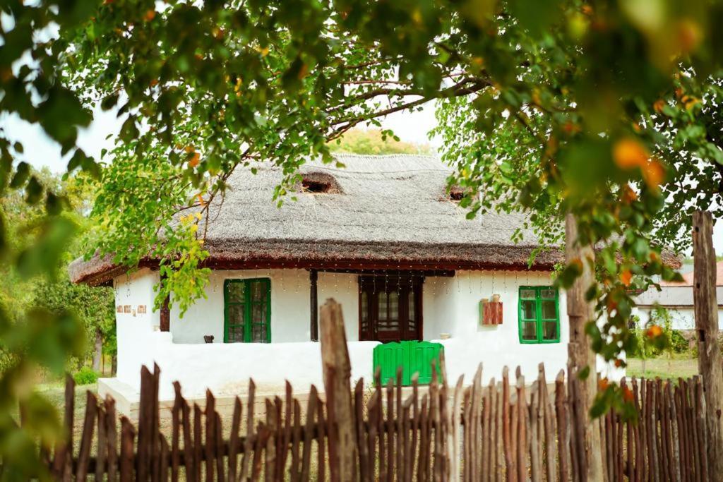 Casuta Muzeu La Artar — Calugareni