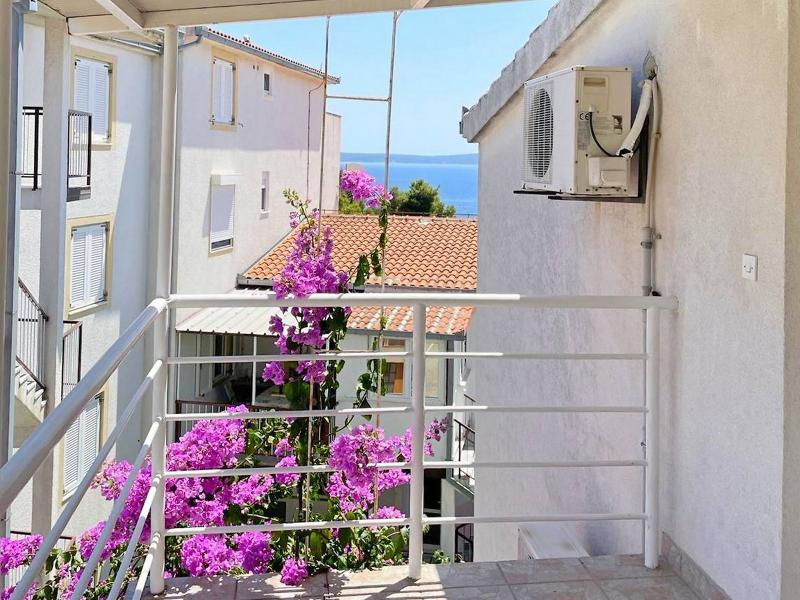 Papic — Hvar — photo 4