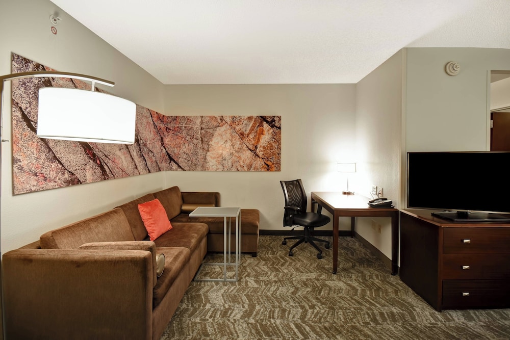Springhill Suites by Marriott Louisville Airport - photo 23