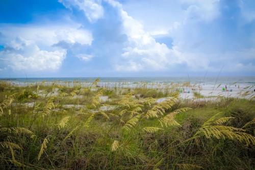 Tranquil Gateaway Studio Apt near Cape Canaveral - photo 37