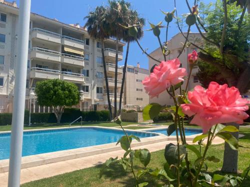 Apartamento Cal Albir — 4-Star Luxury Hotel in L'alfas Del Pi, Spain