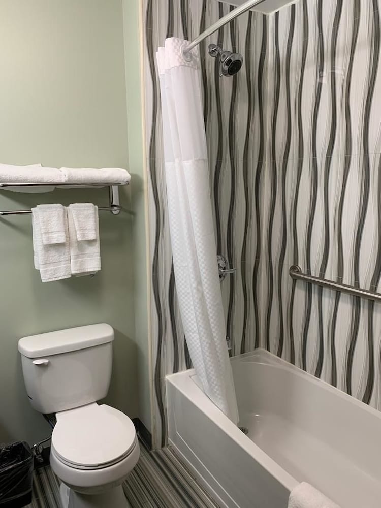 Quality Inn Jamaica - photo 10