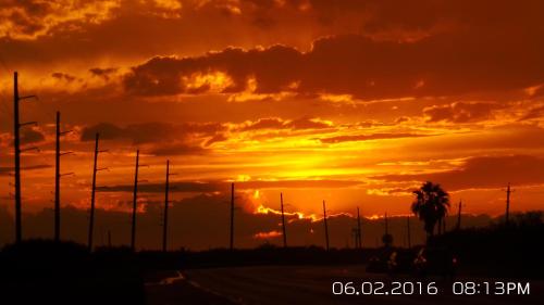 La Isla South Padre Residences - photo 43