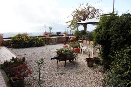 Il Pioppo — Veroli — photo 2
