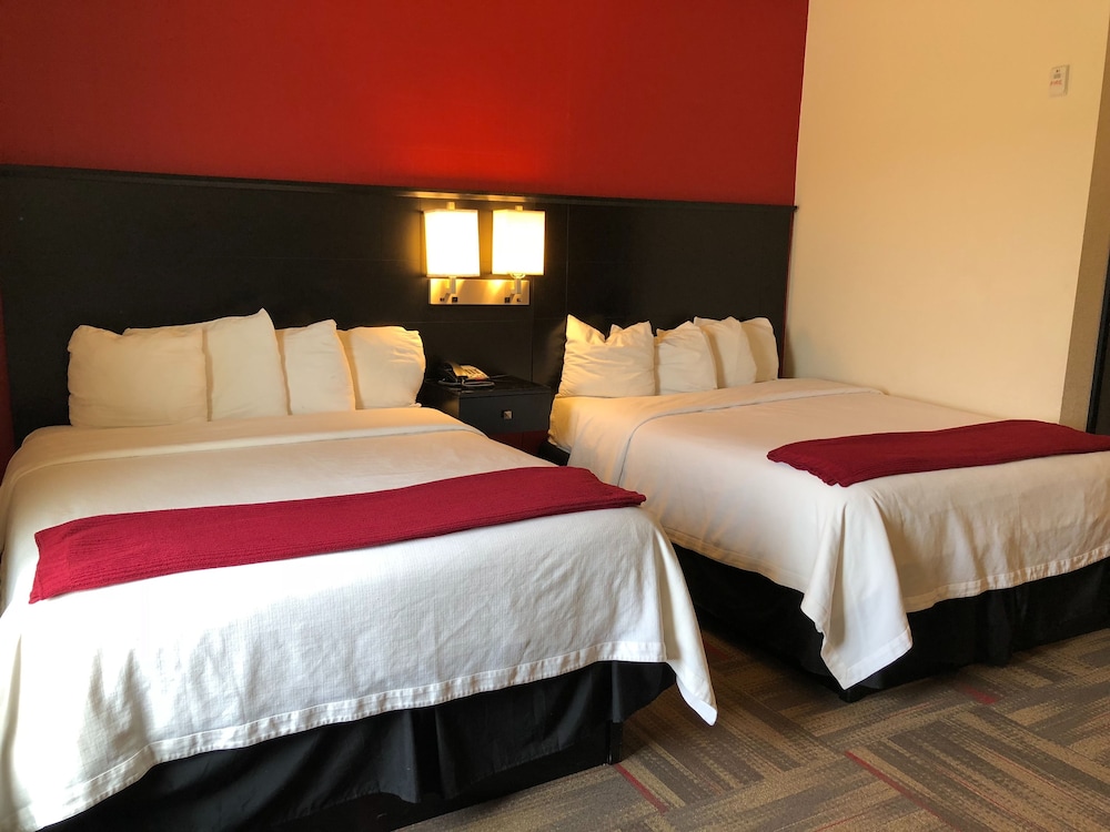 Black Gold Suites Tioga - photo 2