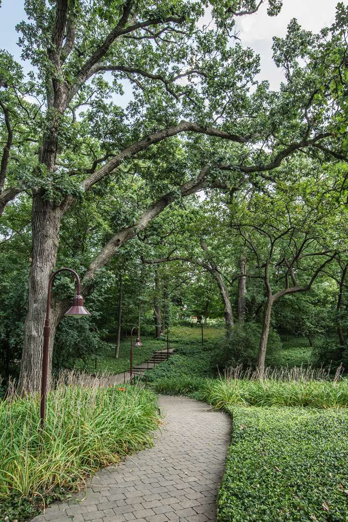 Hyatt Lodge Oak Brook Chicago - photo 23