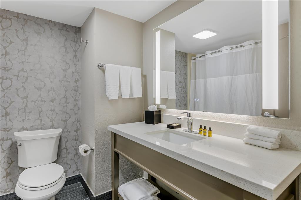 Best Western Plus Sanford Airport Lake Mary Hotel - photo 17