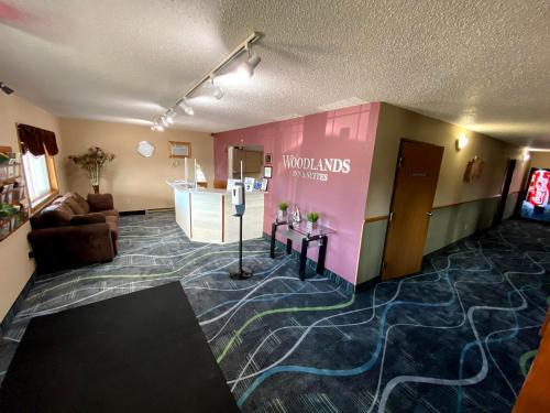 Woodlands Inn & Suites - photo 28
