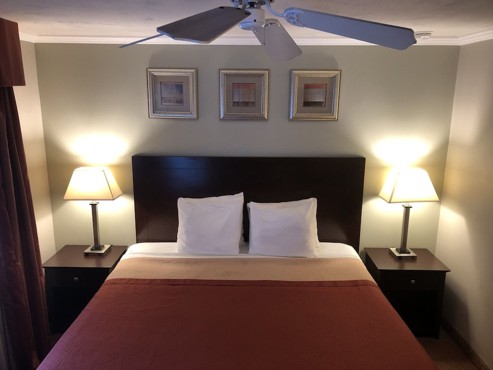Global Inn - photo 7