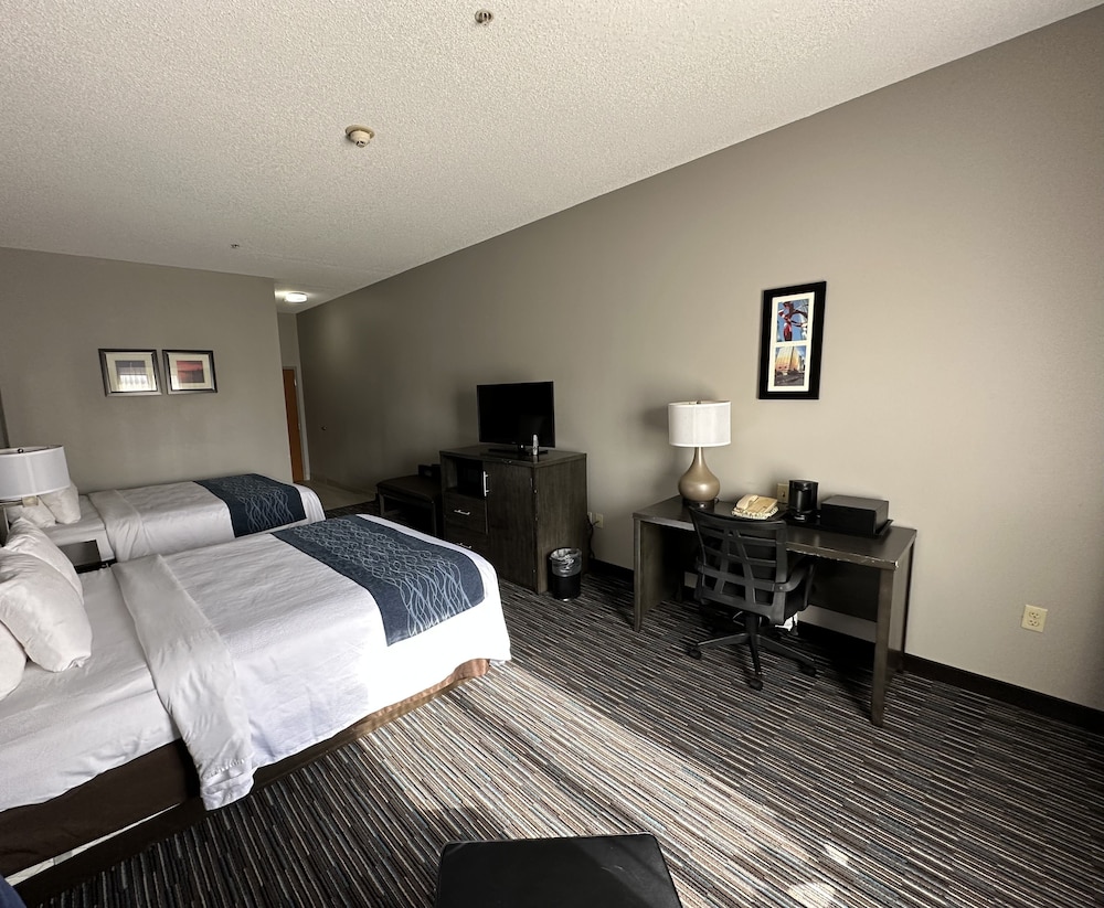 Garner Hotel Oklahoma City Quail Springs by IHG - photo 21