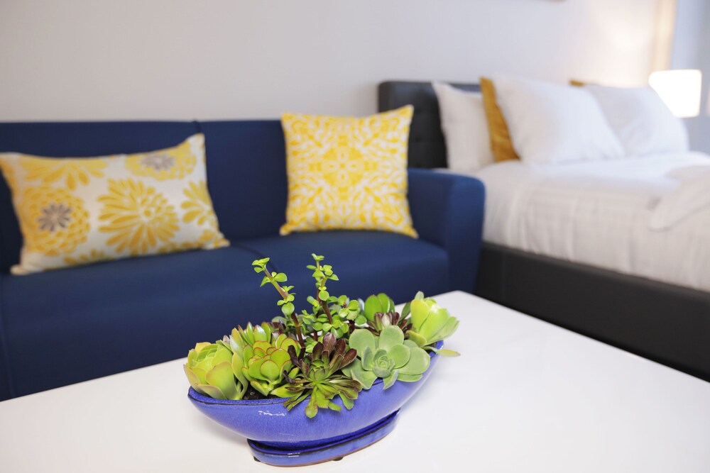 Downtown Cosmopolitan Suites - photo 11