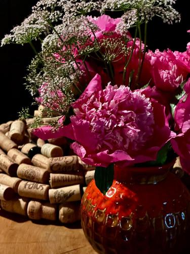 Estate Ana in Ptuj, Slovenia