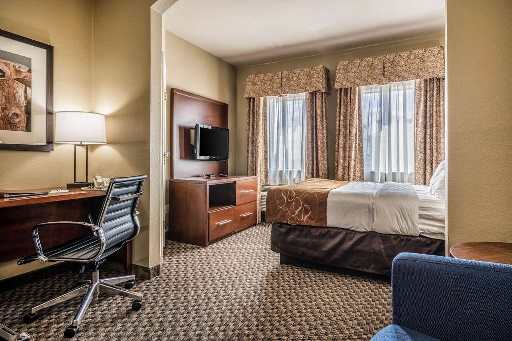 Comfort Suites Near Texas State University - photo 24